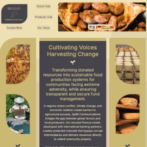 Spillit Communications landing page